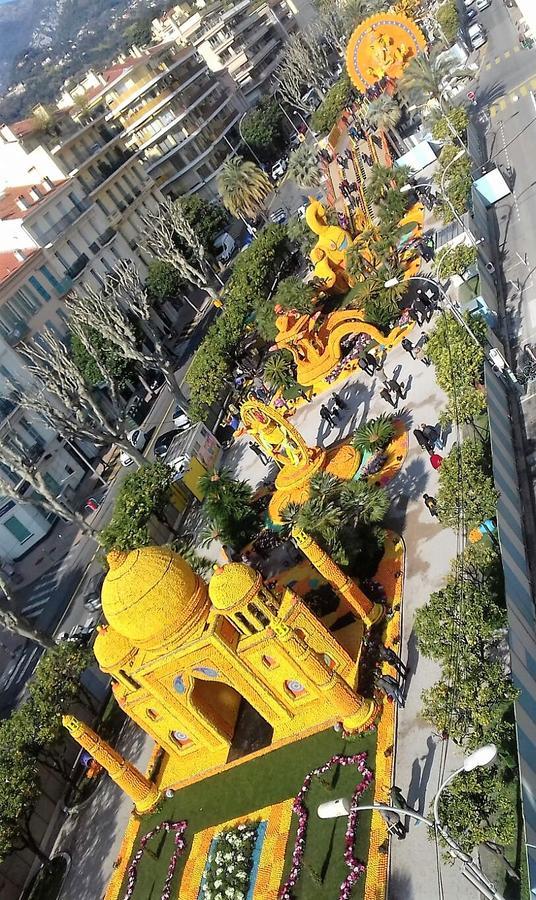 Les Mimosas *